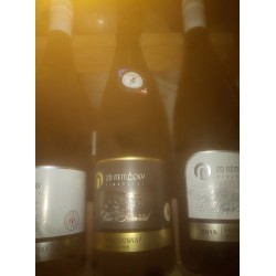 Němčičky, ZD Němčičky, Chardonnay 2015, výběr z hroznů